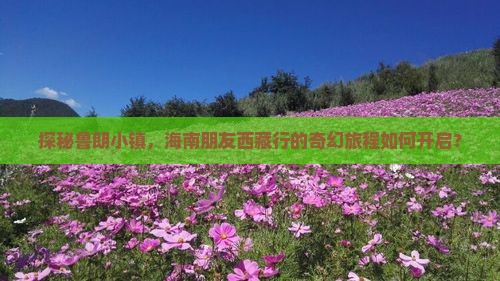 海南去西藏鲁朗小镇旅行社