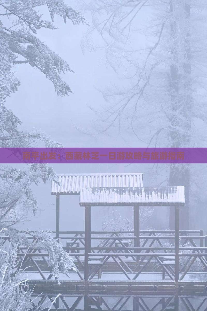 南平去西藏林芝一日