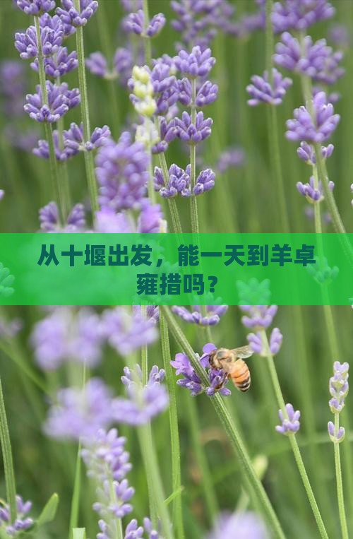 十堰到西藏羊卓雍措一日