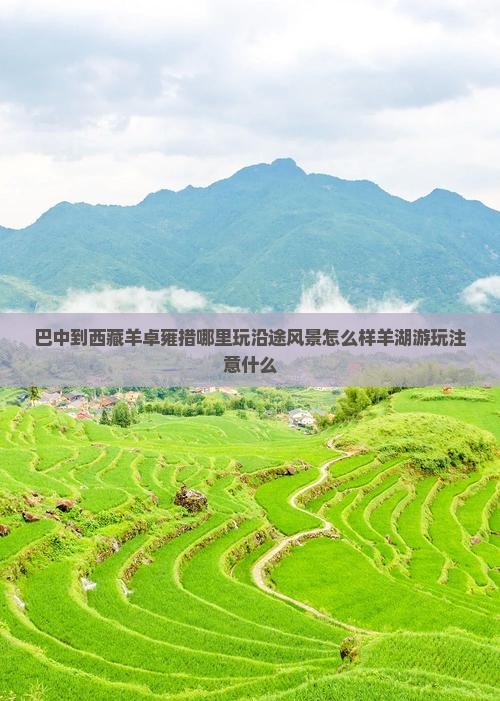 巴中到西藏羊卓雍措哪里玩