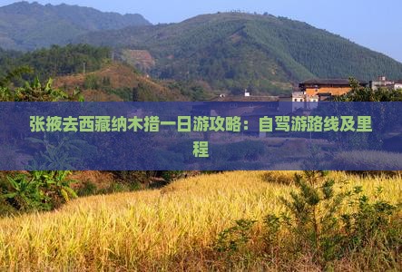 张掖去西藏纳木措一日