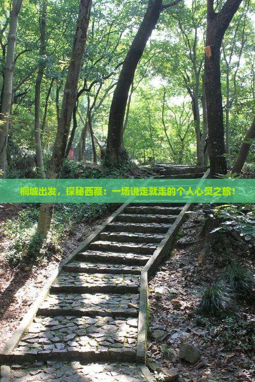 桐城到西藏个人游