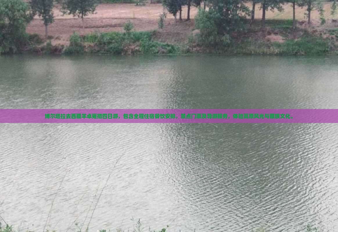博尔塔拉去西藏羊卓雍措四日游