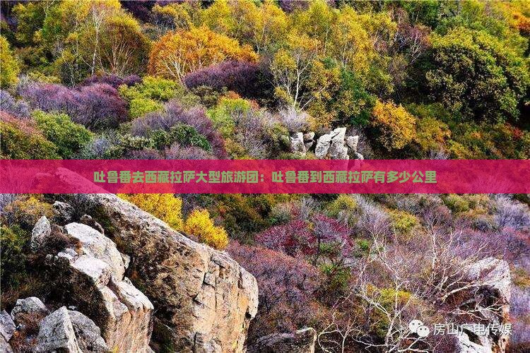 吐鲁番去西藏拉萨大型旅游团