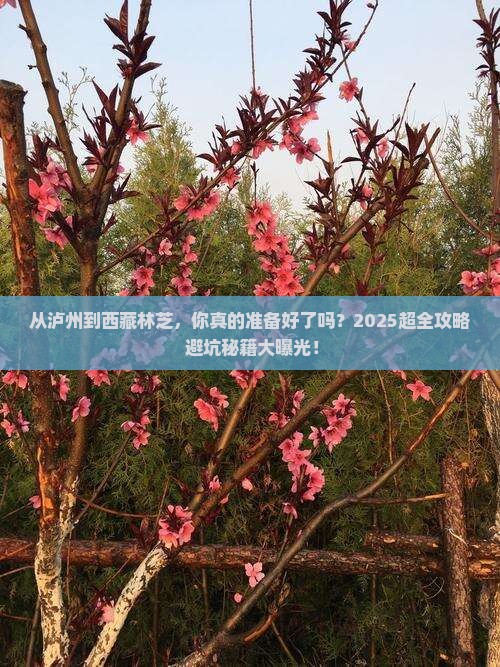 泸州到西藏林芝大型旅游团