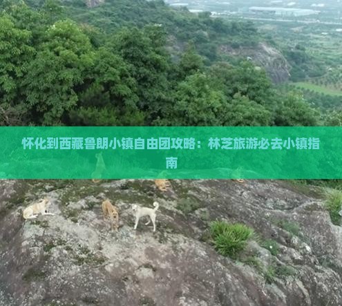 怀化到西藏鲁朗小镇自由团 怀化到西藏鲁朗小镇自由团