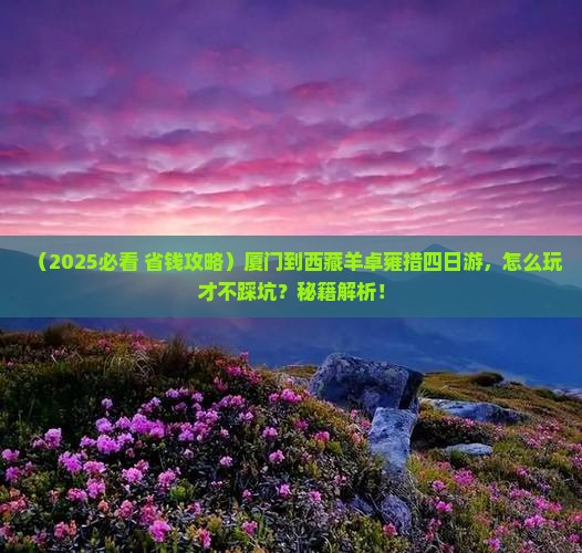 厦门到西藏羊卓雍措四日游