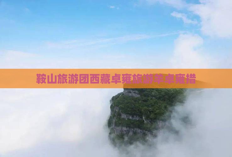 鞍山到西藏羊卓雍措大型旅游团