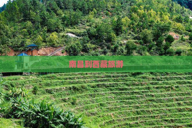 南昌到西藏旅游