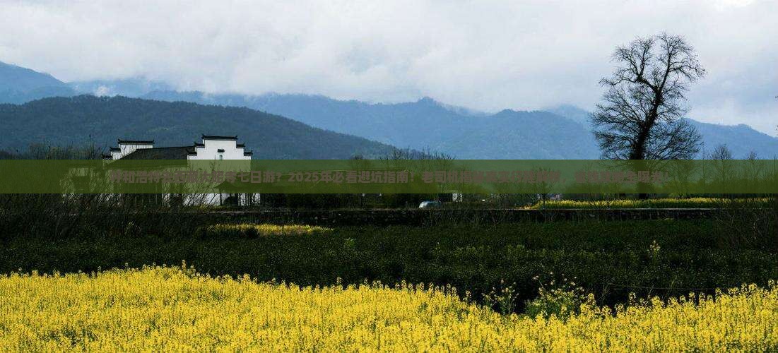 呼和浩特去西藏大昭寺七日游