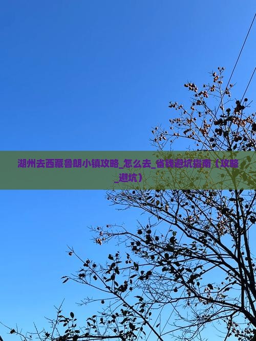 湖州去西藏鲁朗小镇攻略