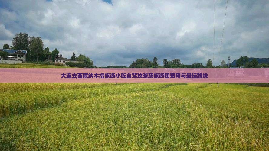大连去西藏纳木措旅游小吃