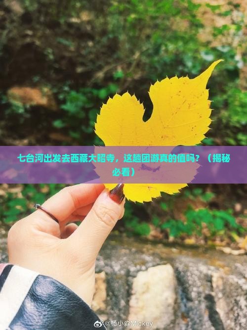 七台河到西藏大昭寺团体旅游