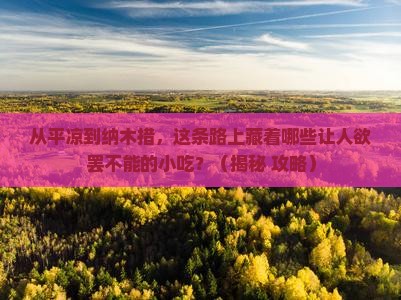 平凉到西藏纳木措旅游小吃