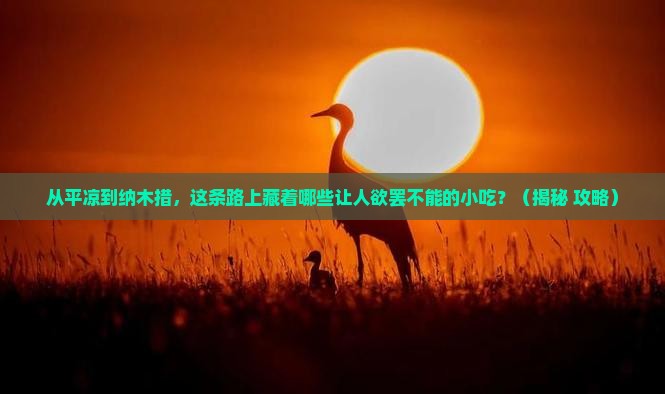 平凉到西藏纳木措旅游小吃