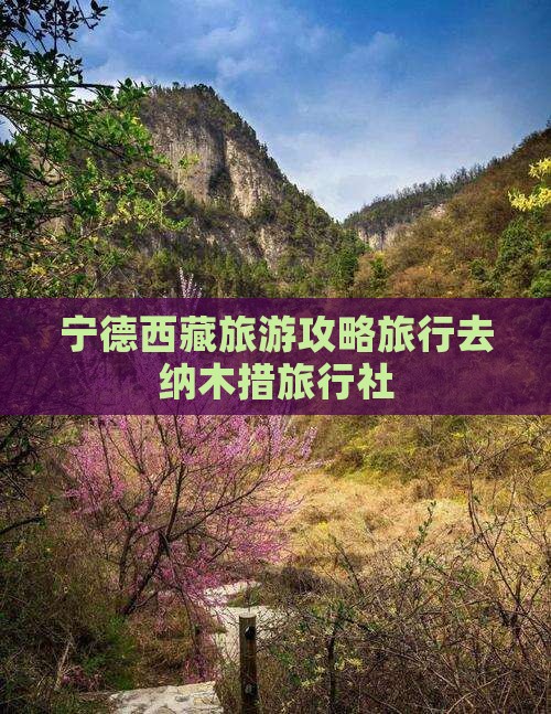 宁德去西藏纳木措旅行社