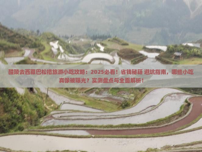醴陵去西藏巴松措旅游小吃