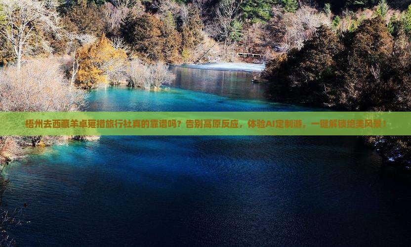 梧州去西藏羊卓雍措旅行社