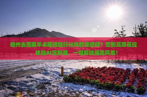 梧州去西藏羊卓雍措旅行社
