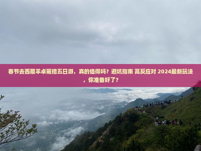 春节去西藏羊卓雍措五日游