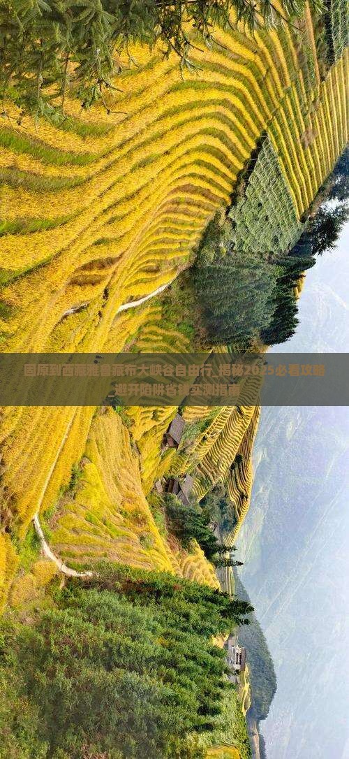固原到西藏雅鲁藏布大峡谷自由行