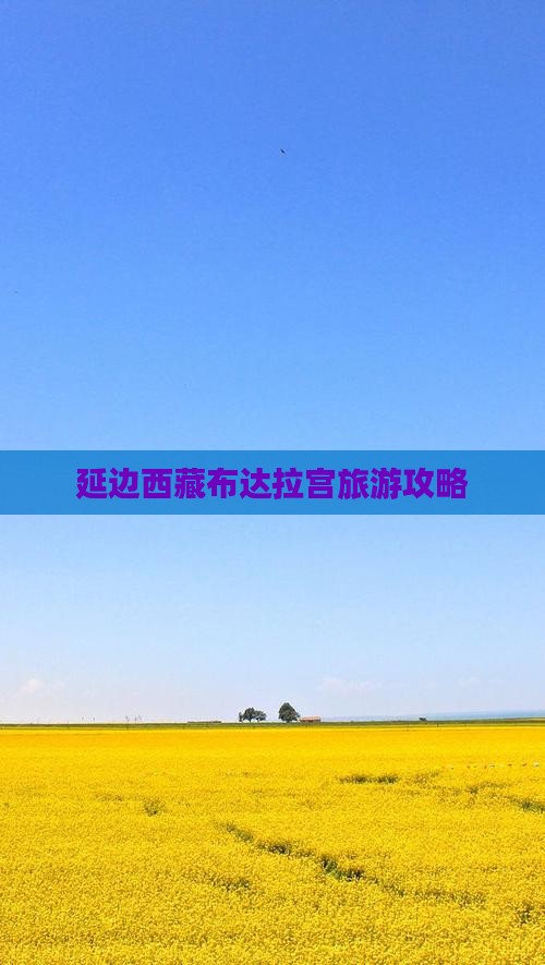延边去西藏布达拉宫景点