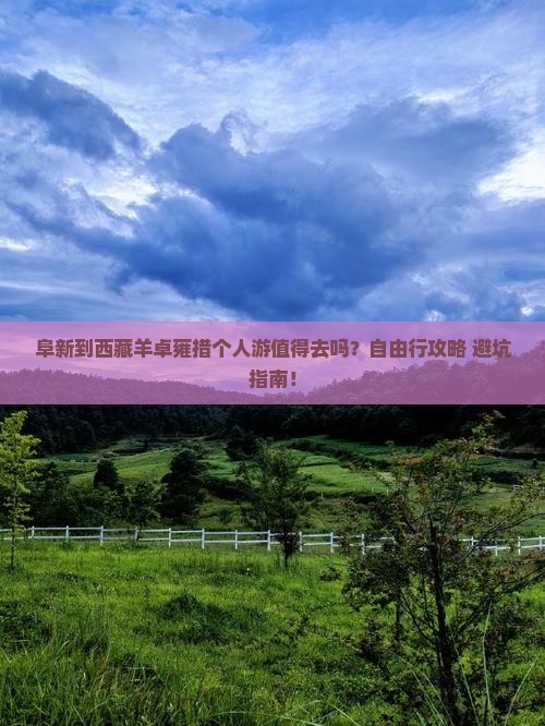 阜新到西藏羊卓雍措个人游