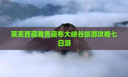 莱芜去西藏雅鲁藏布大峡谷七日游