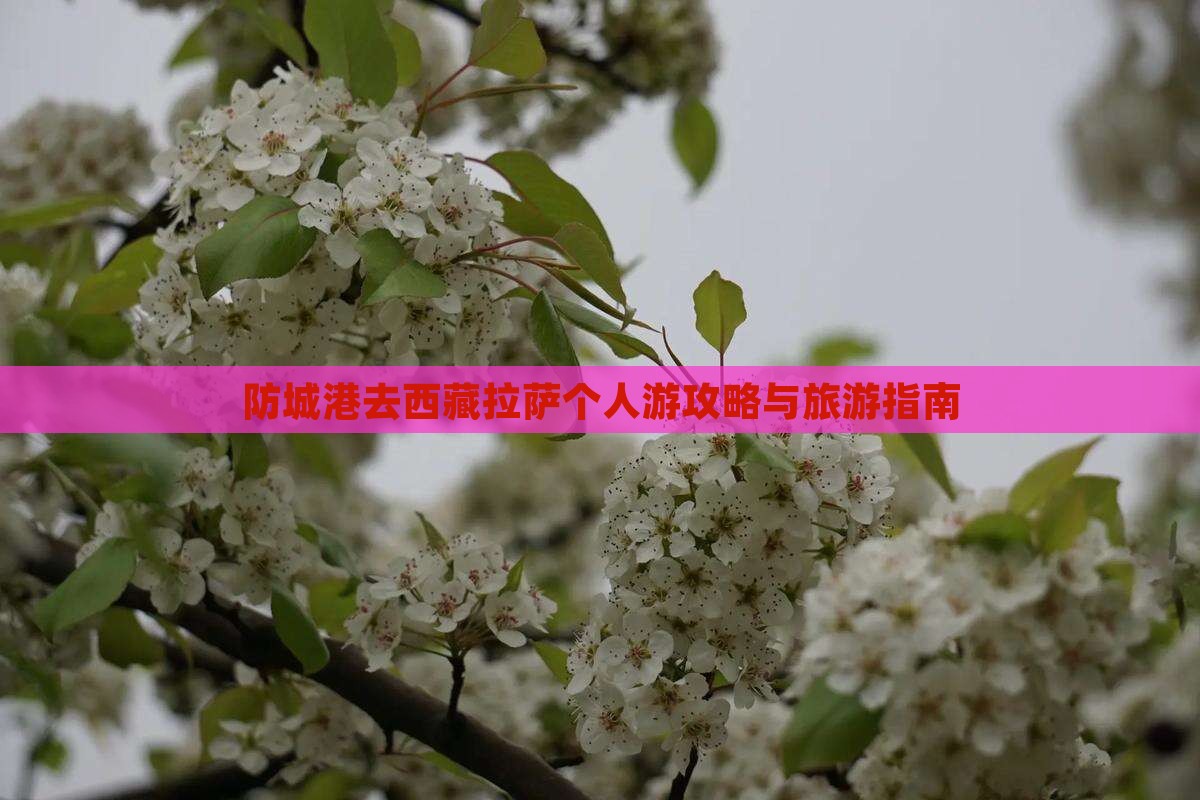 防城港去西藏个人游