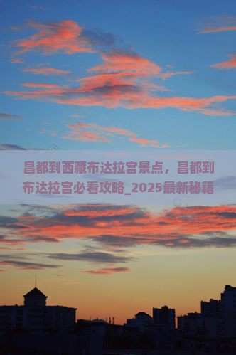 昌都到西藏布达拉宫景点