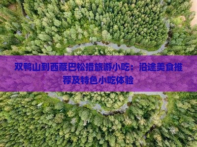 双鸭山到西藏巴松措旅游小吃