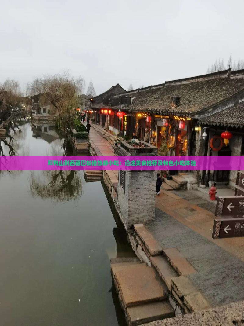 双鸭山到西藏巴松措旅游小吃