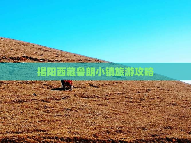揭阳去西藏鲁朗小镇旅游