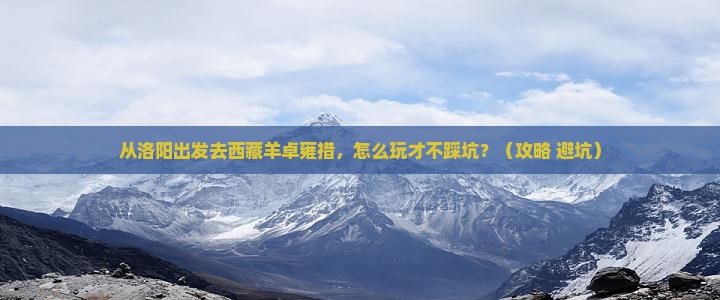 洛阳去西藏羊卓雍措哪里玩