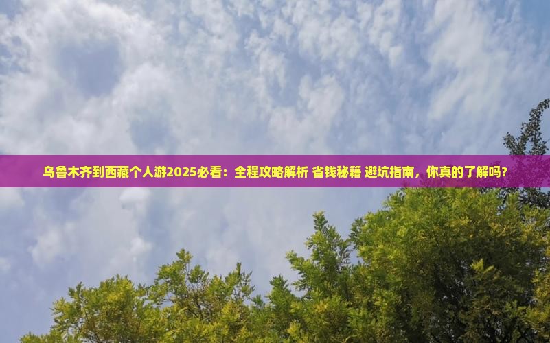乌鲁木齐到西藏个人游