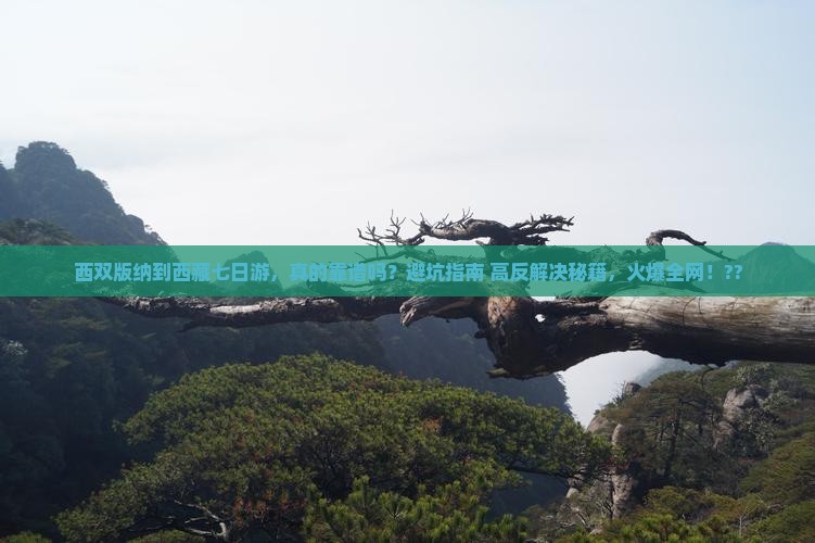 西双版纳到西藏七日游