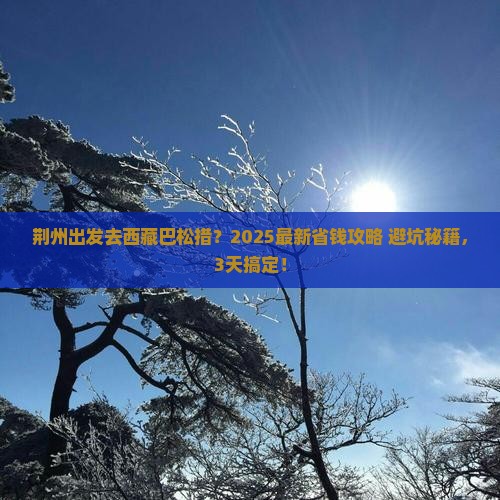 荆州到西藏巴松措旅行社
