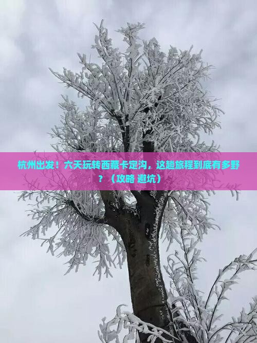 杭州到西藏卡定沟六日游