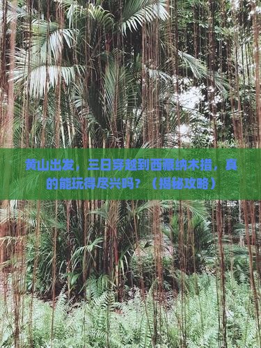 黄山到西藏纳木措三日游