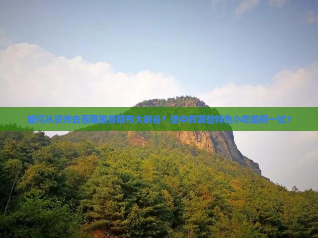 贺州去西藏雅鲁藏布大峡谷旅游小吃