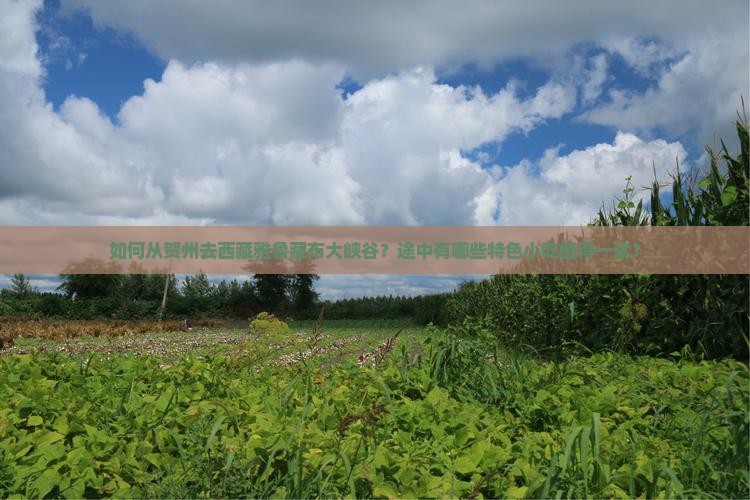 贺州去西藏雅鲁藏布大峡谷旅游小吃