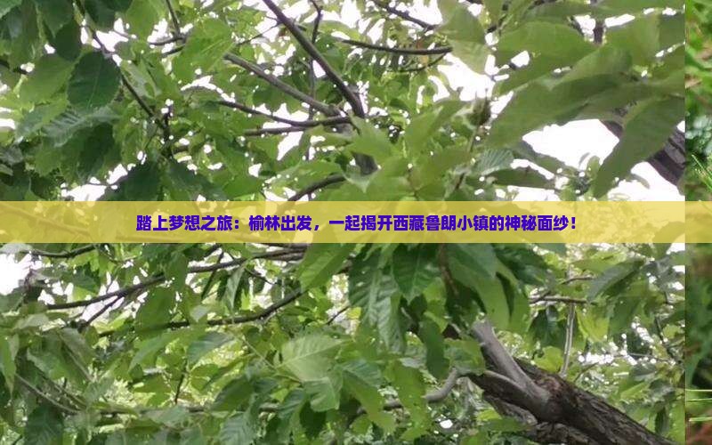 榆林到西藏鲁朗小镇自由团