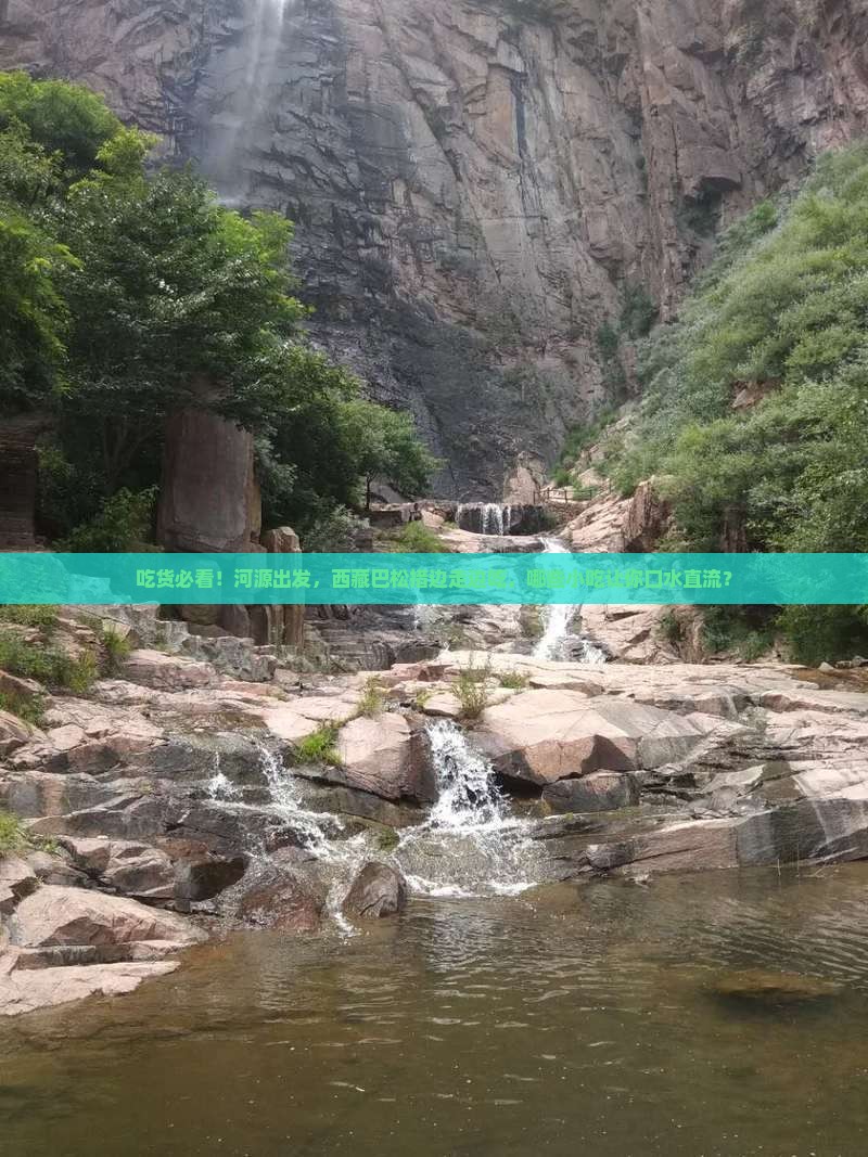 河源到西藏巴松措旅游小吃