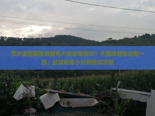 萍乡去西藏雅鲁藏布大峡谷哪里玩