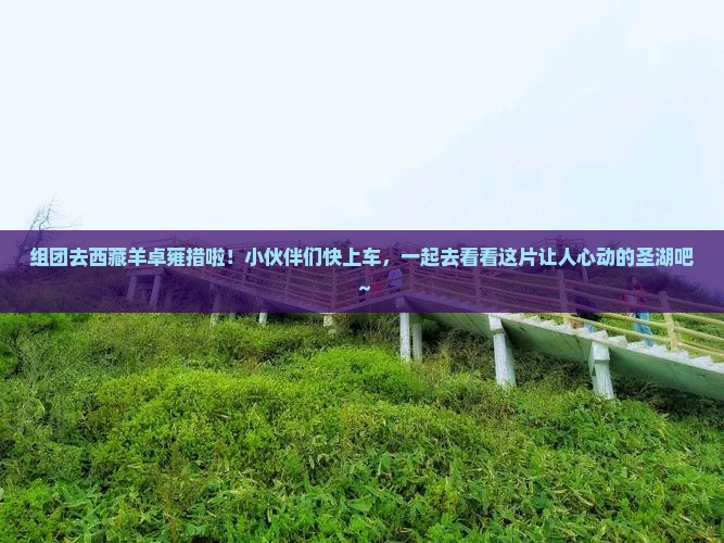 朝阳去西藏羊卓雍措大型旅游团