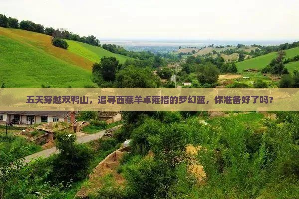 双鸭山去西藏羊卓雍措五日游