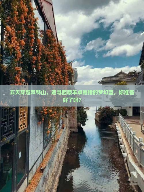 双鸭山去西藏羊卓雍措五日游
