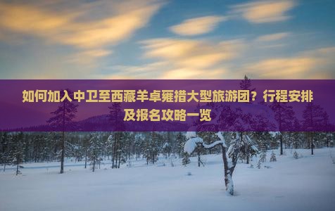 中卫去西藏羊卓雍措大型旅游团