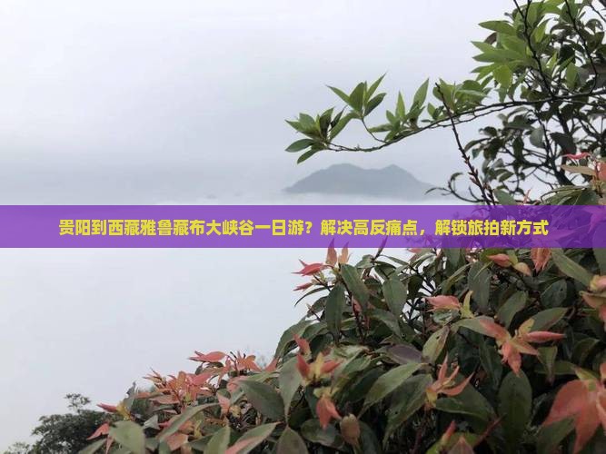 贵阳到西藏雅鲁藏布大峡谷一日