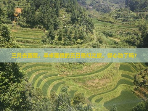 三月去西藏羊卓雍措五日游